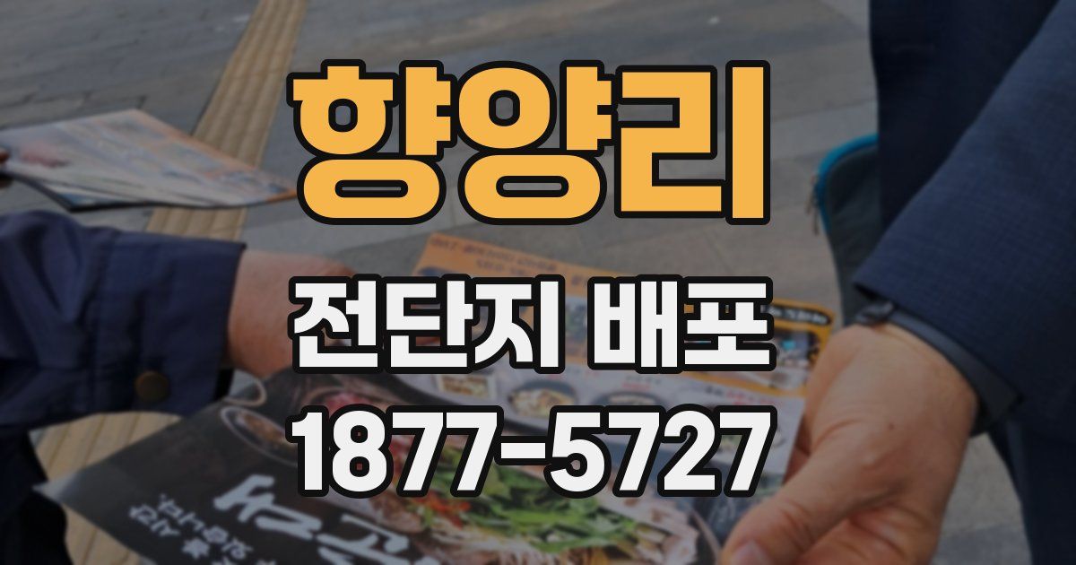 향양리 전단지 배포