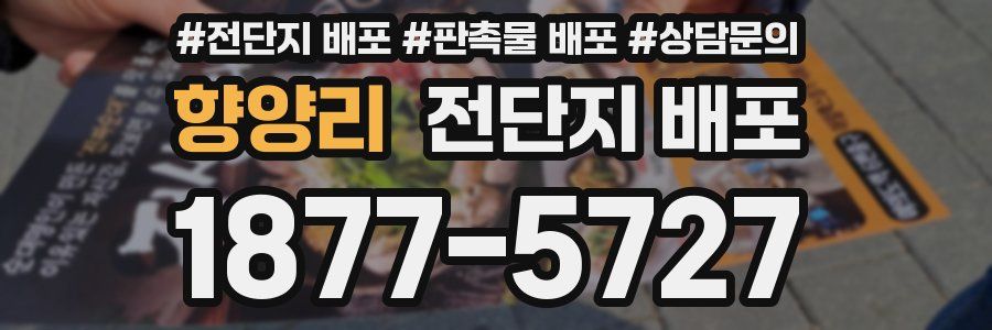 향양리 전단지 배포
