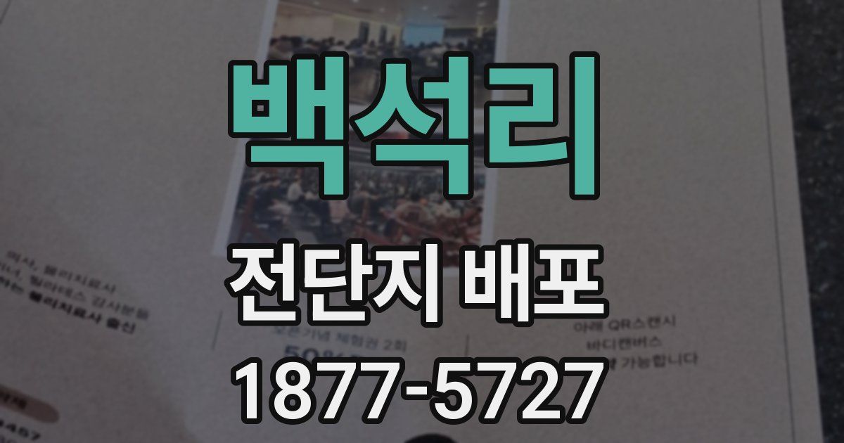 백석리 전단지 배포