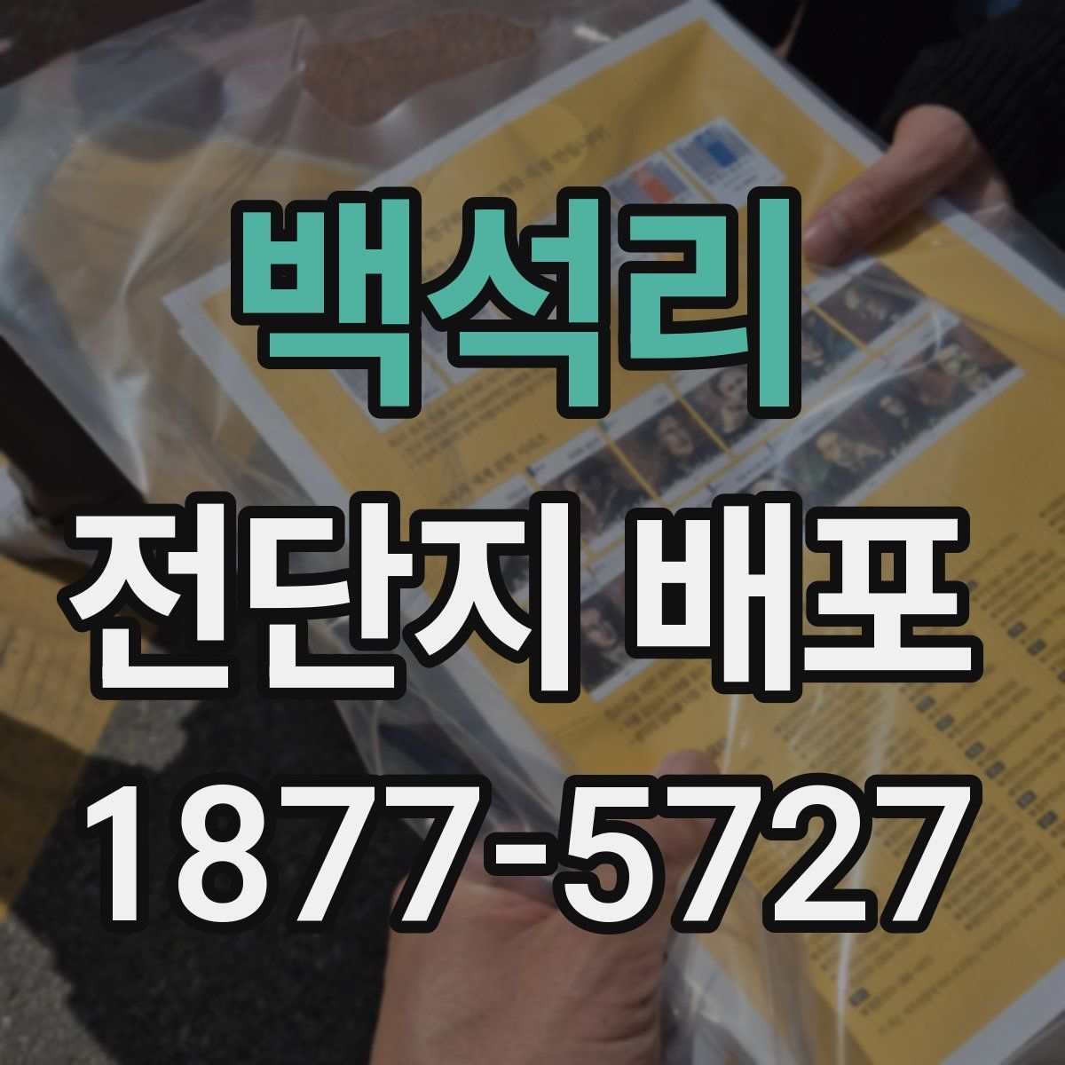 백석리 전단지 배포
