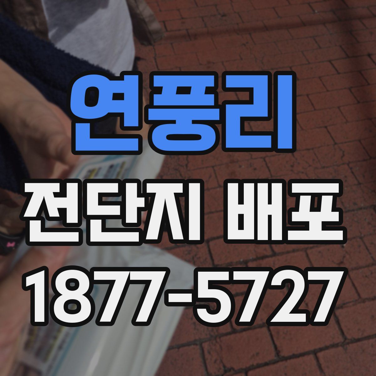연풍리 전단지 배포