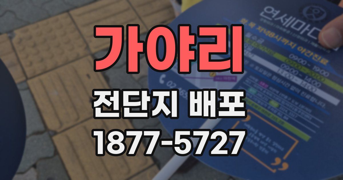 가야리 전단지 배포