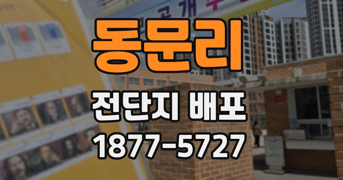 동문리 전단지 배포