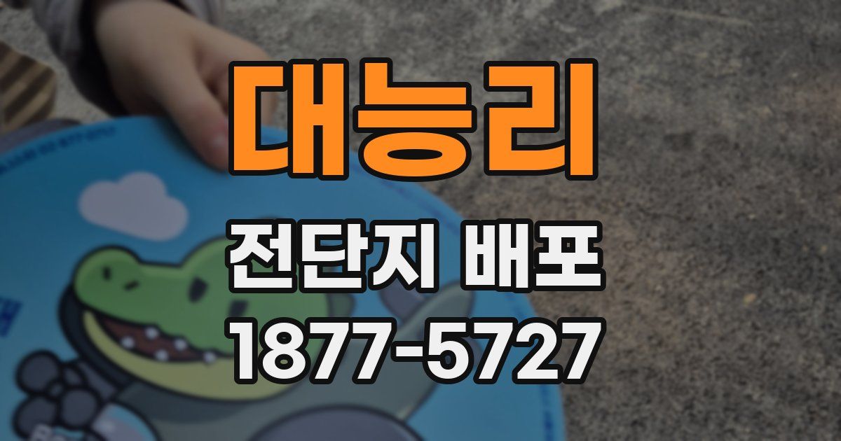 대능리 전단지 배포