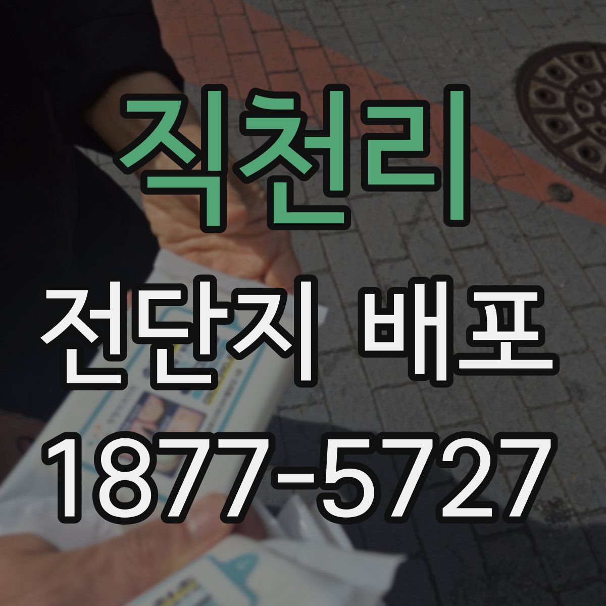 직천리 전단지 배포