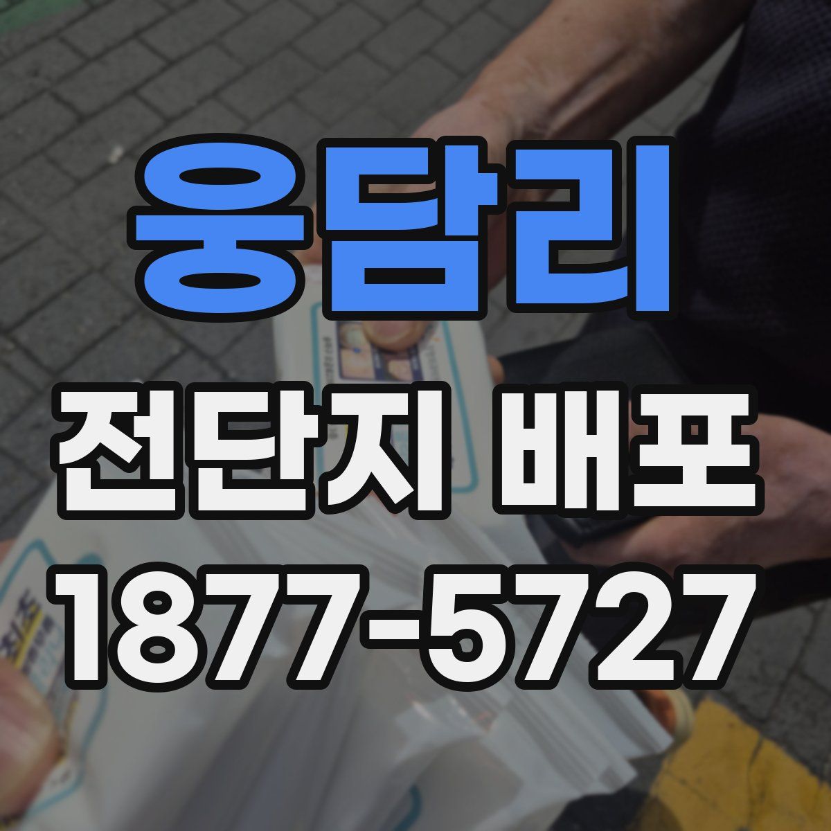 웅담리 전단지 배포