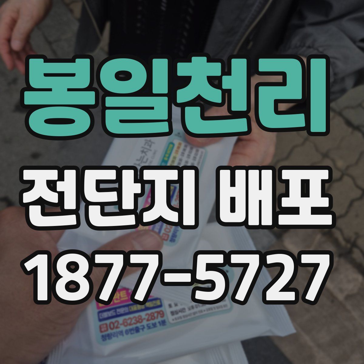 봉일천리 전단지 배포