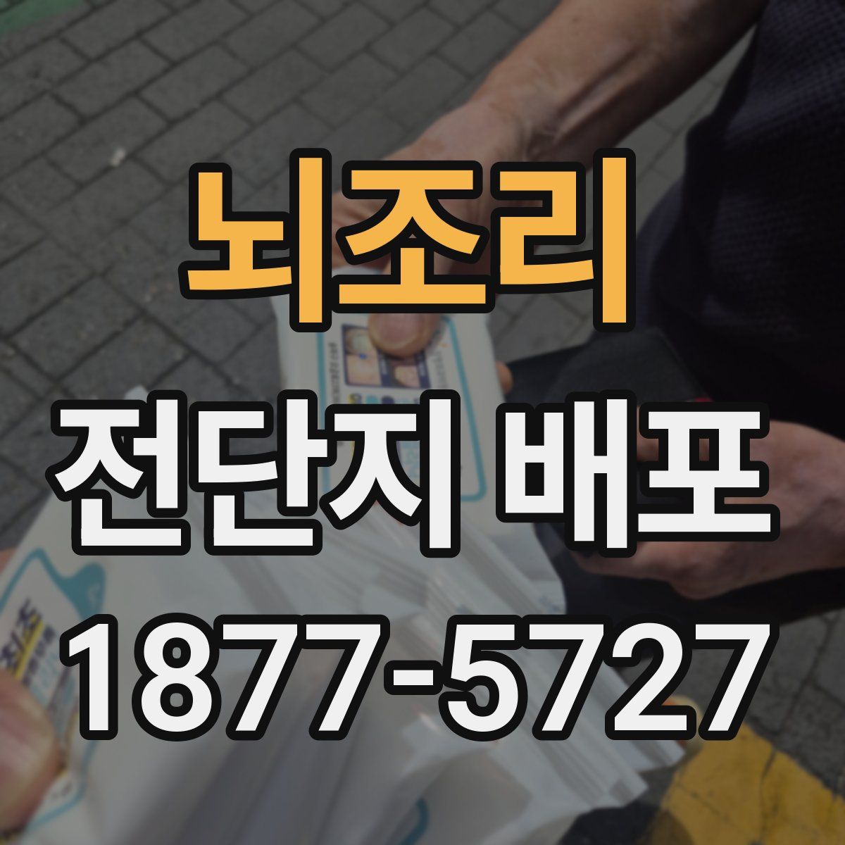 뇌조리 전단지 배포