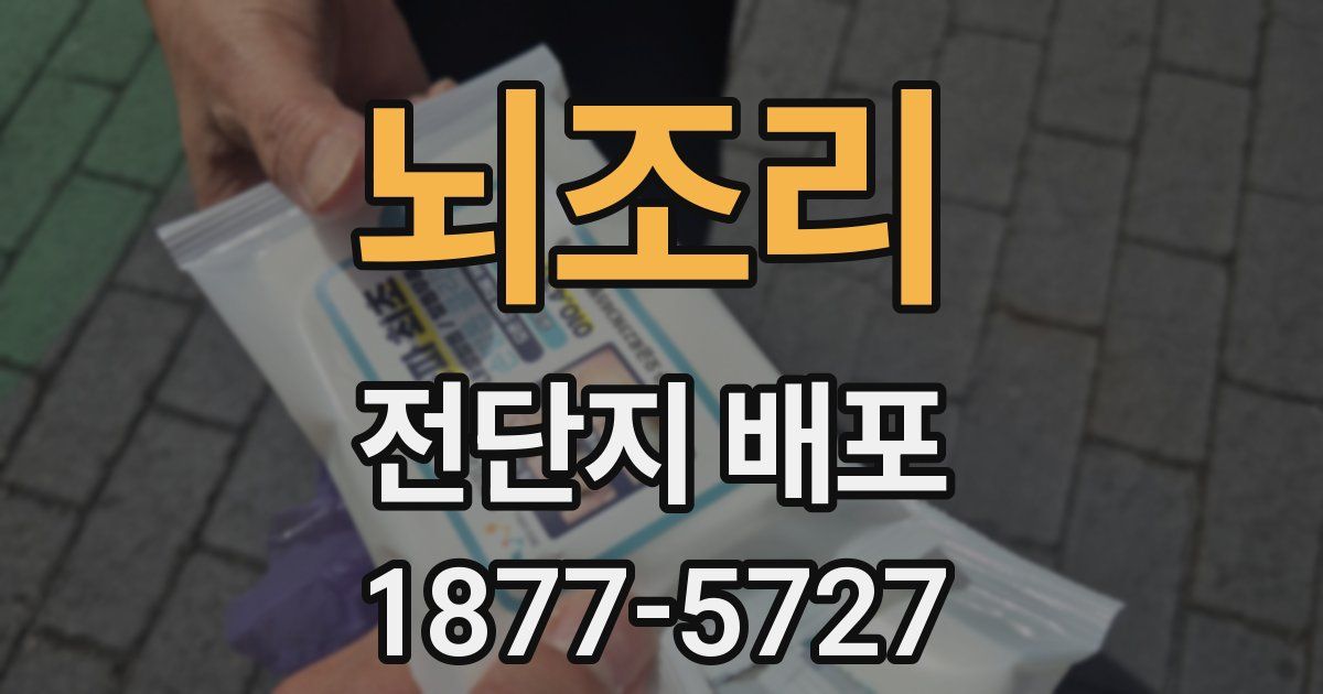 뇌조리 전단지 배포