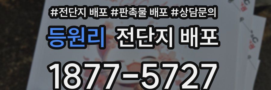 등원리 전단지 배포