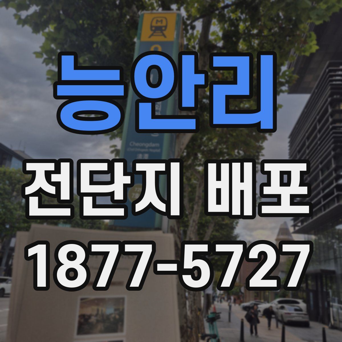 능안리 전단지 배포