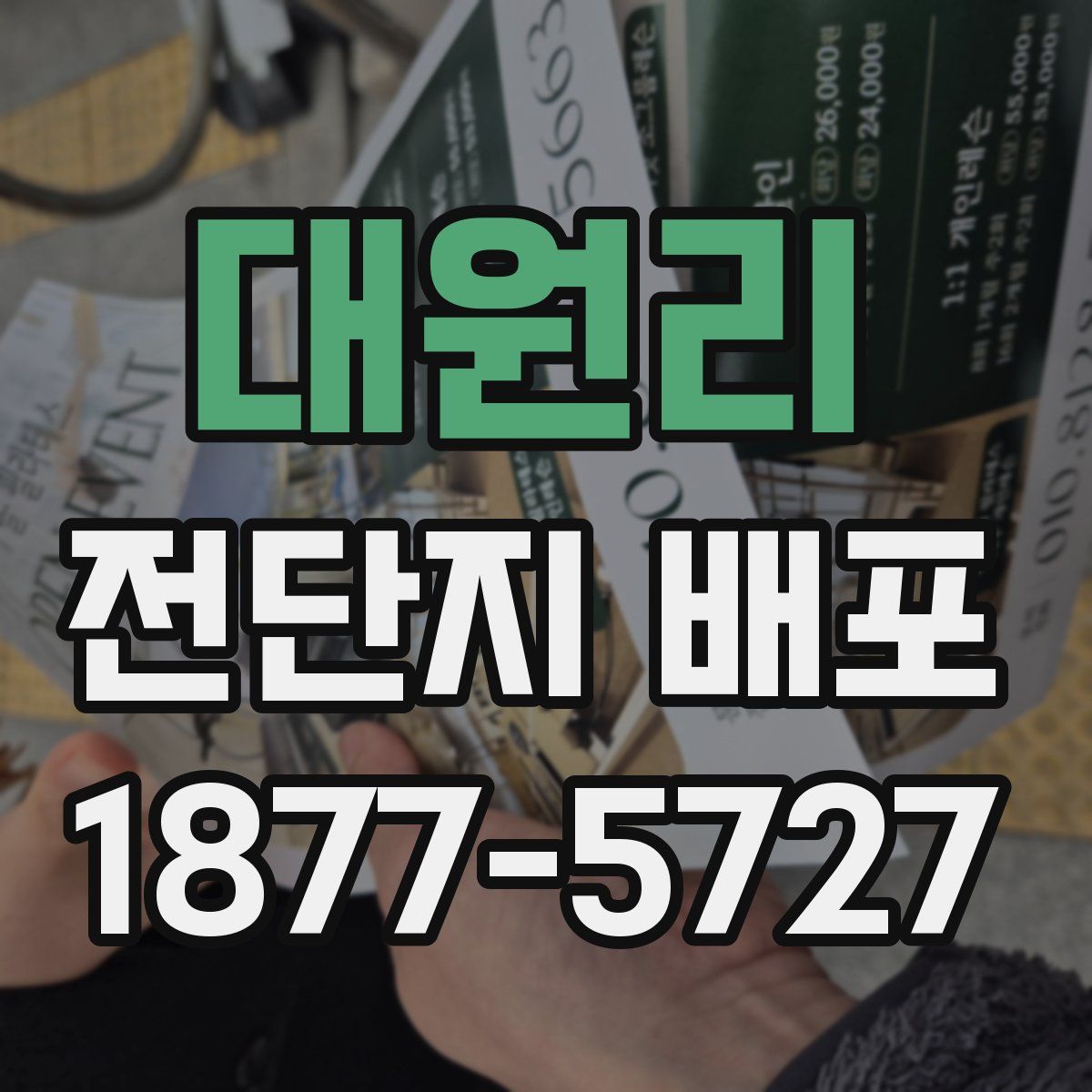 대원리 전단지 배포