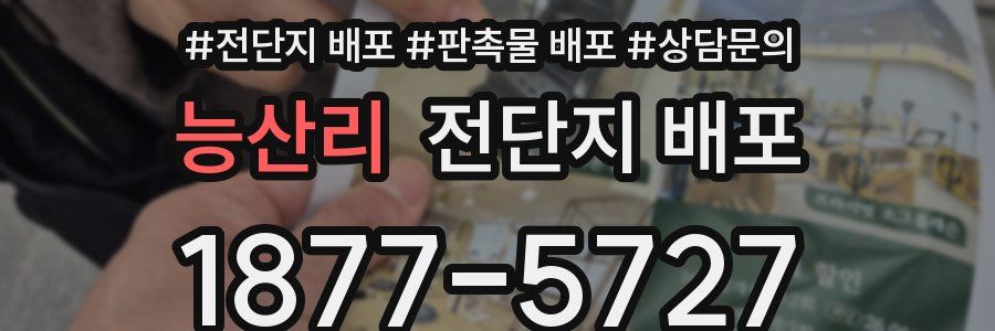 능산리 전단지 배포