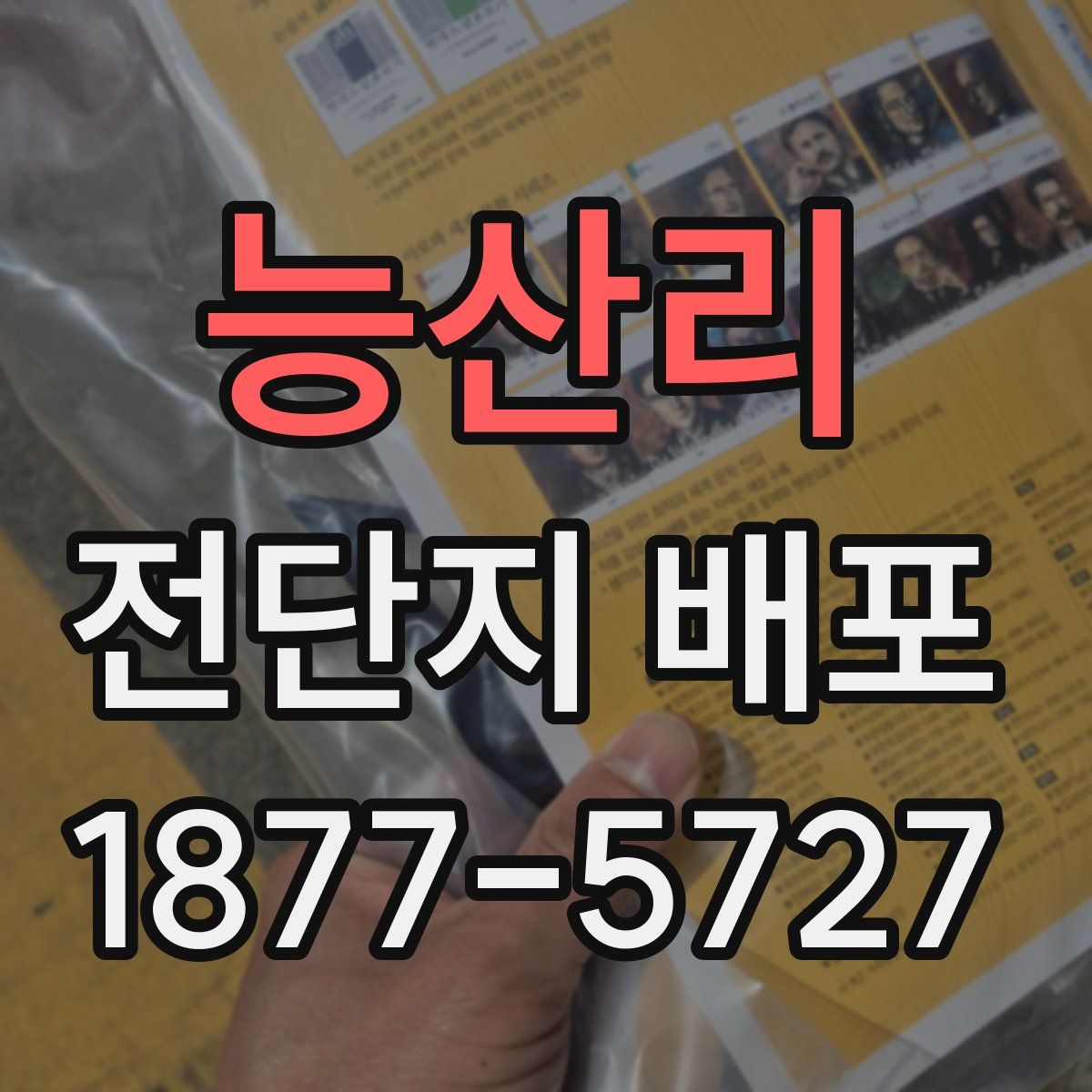 능산리 전단지 배포