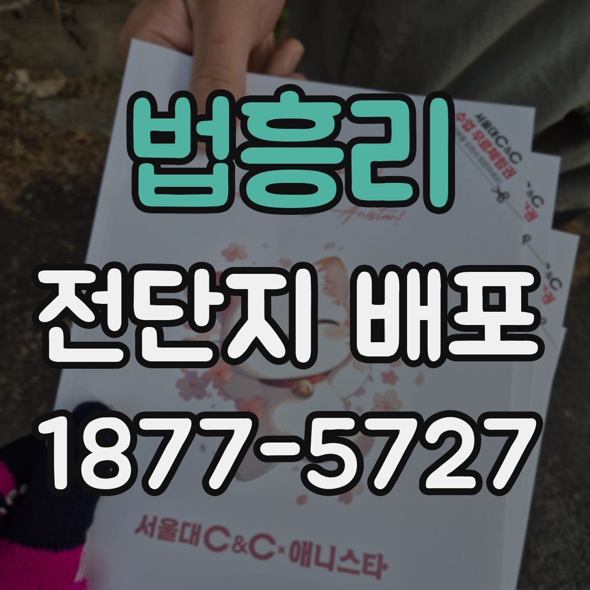 법흥리 전단지 배포