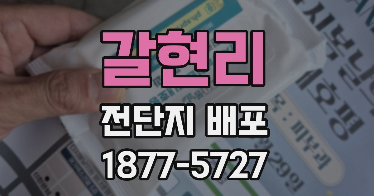 갈현리 전단지 배포