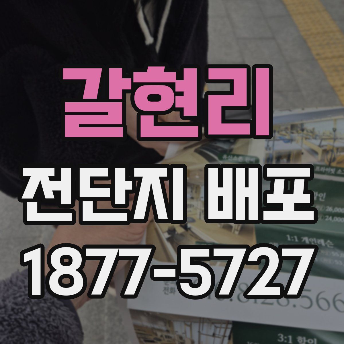 갈현리 전단지 배포