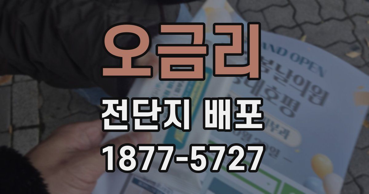 오금리 전단지 배포