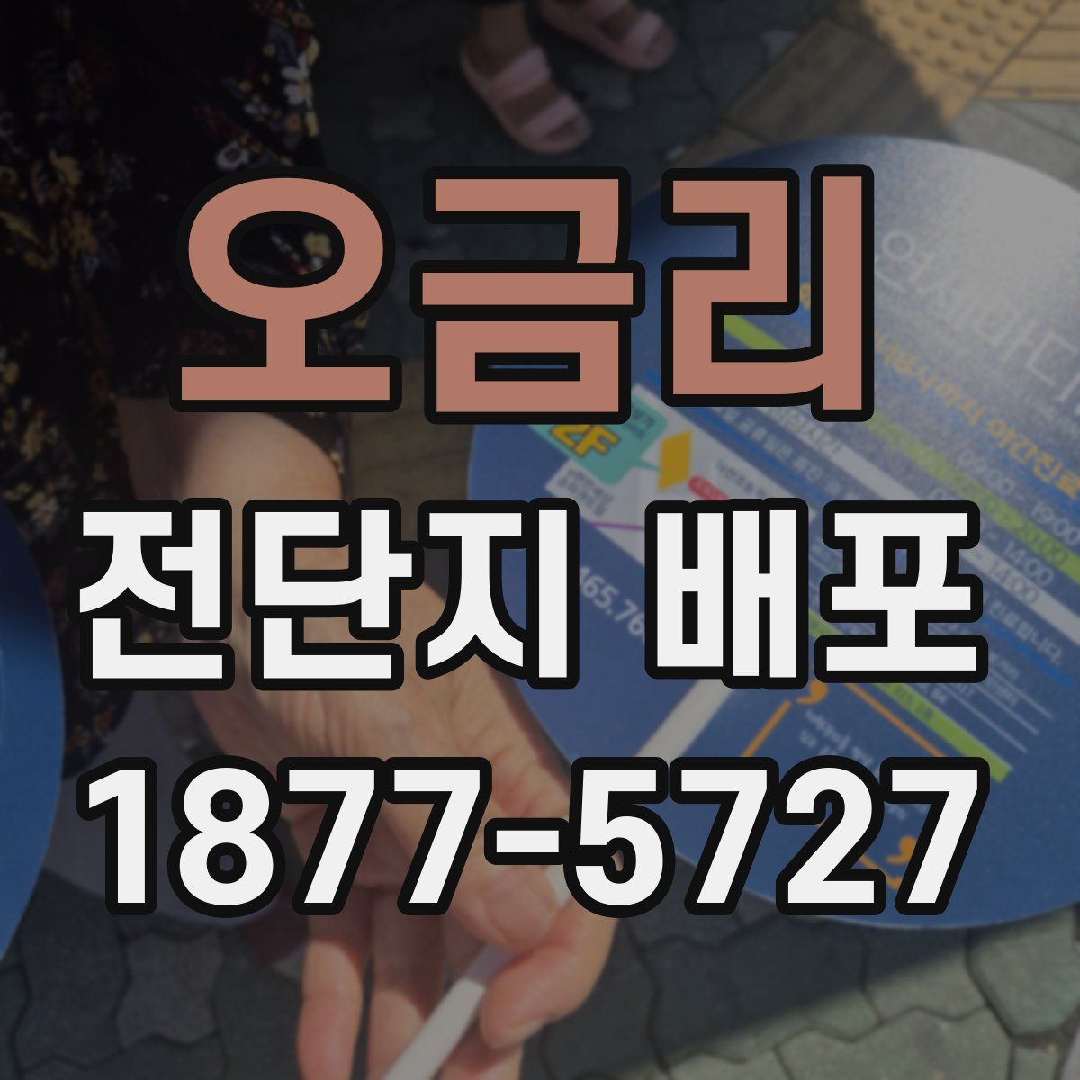오금리 전단지 배포