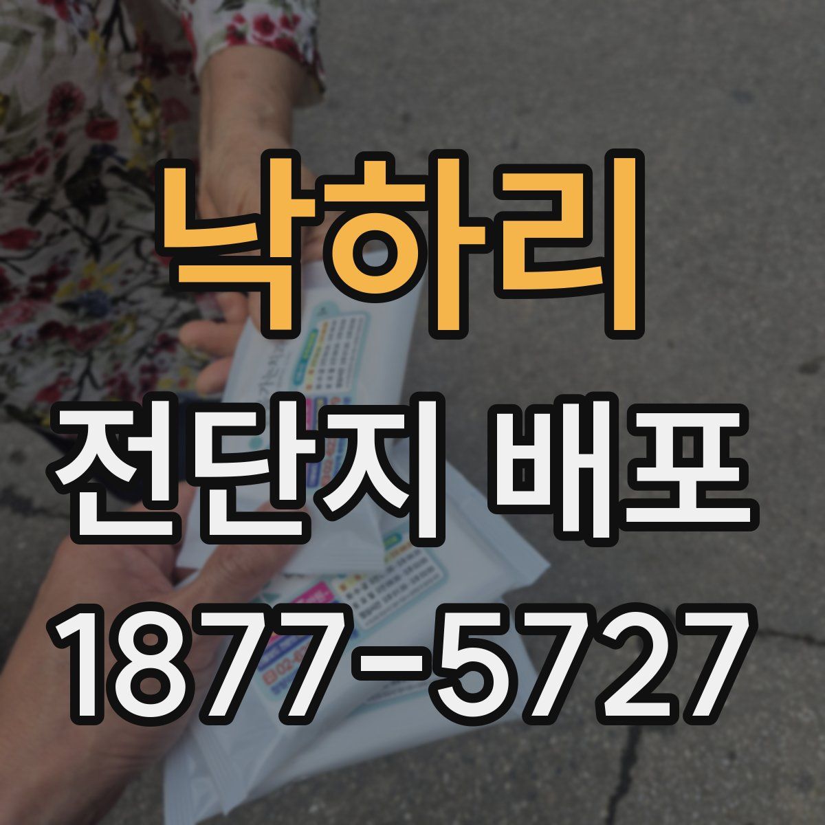 낙하리 전단지 배포