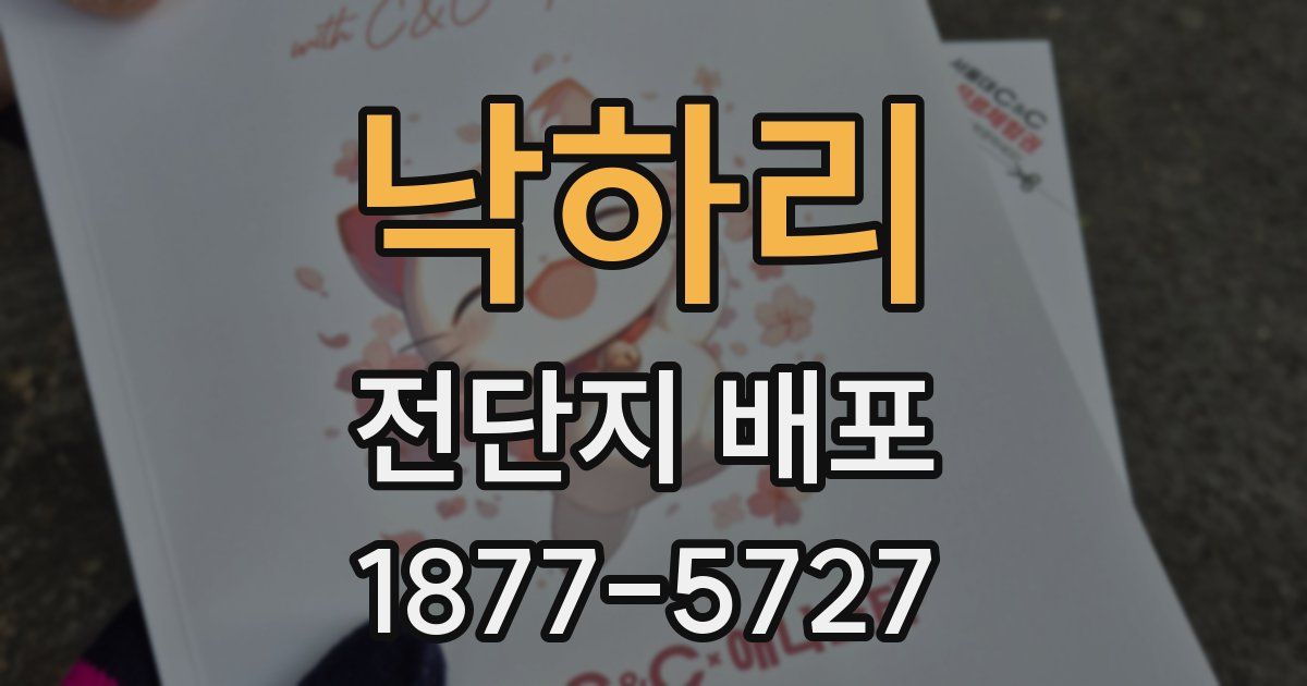 낙하리 전단지 배포