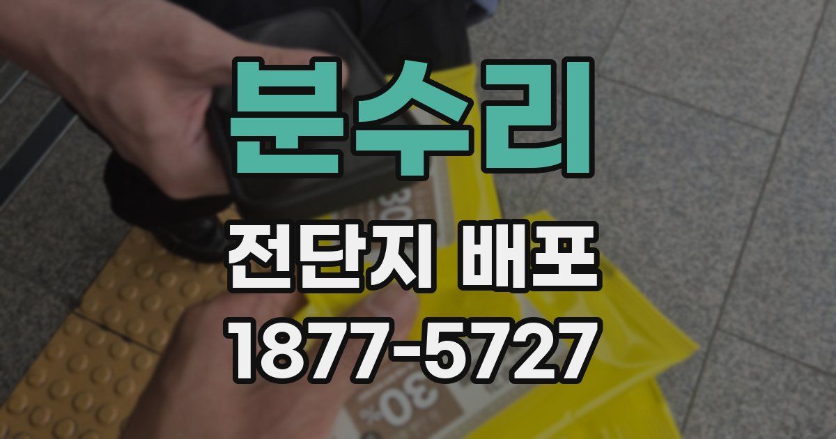 분수리 전단지 배포