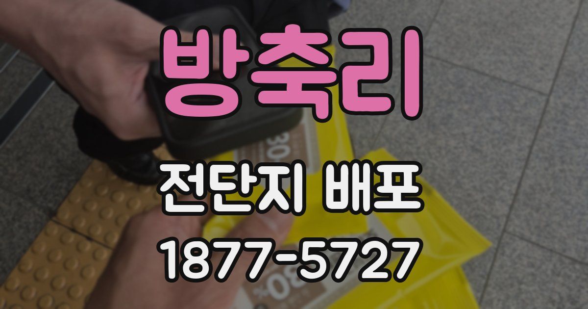 방축리 전단지 배포