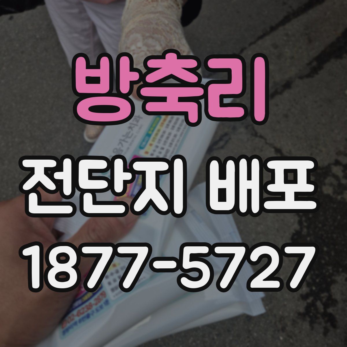 방축리 전단지 배포