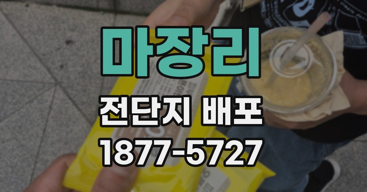 마장리 전단지 배포