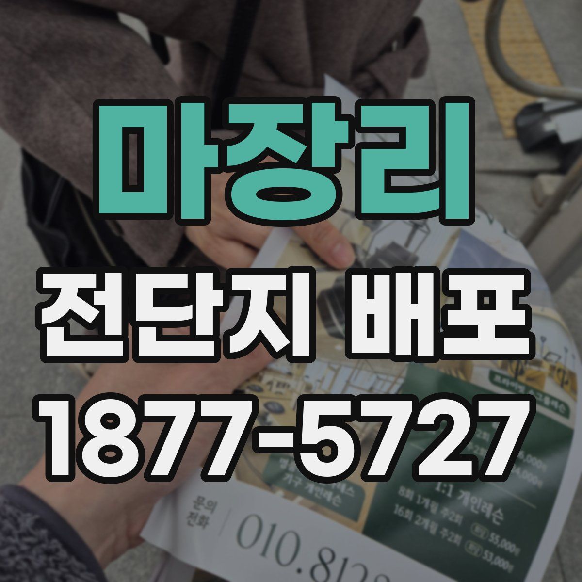 마장리 전단지 배포