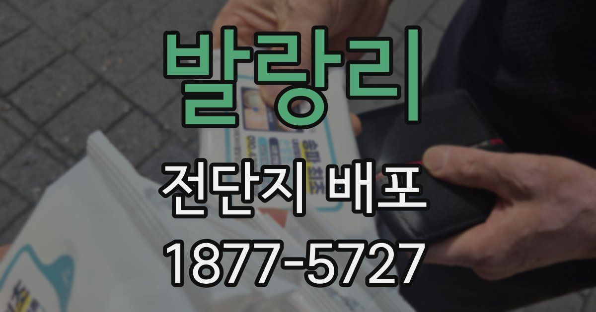 발랑리 전단지 배포