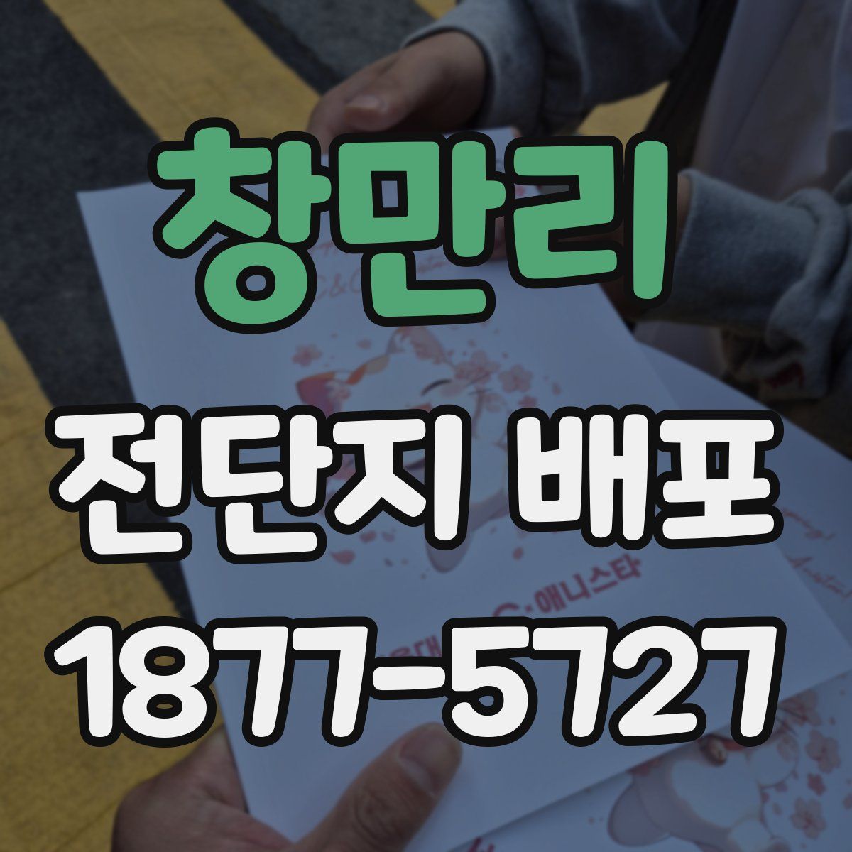 창만리 전단지 배포