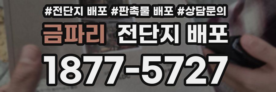 금파리 전단지 배포