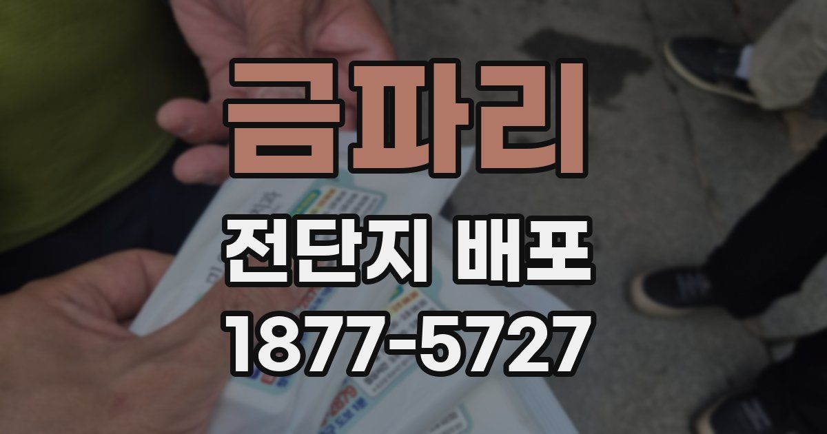 금파리 전단지 배포