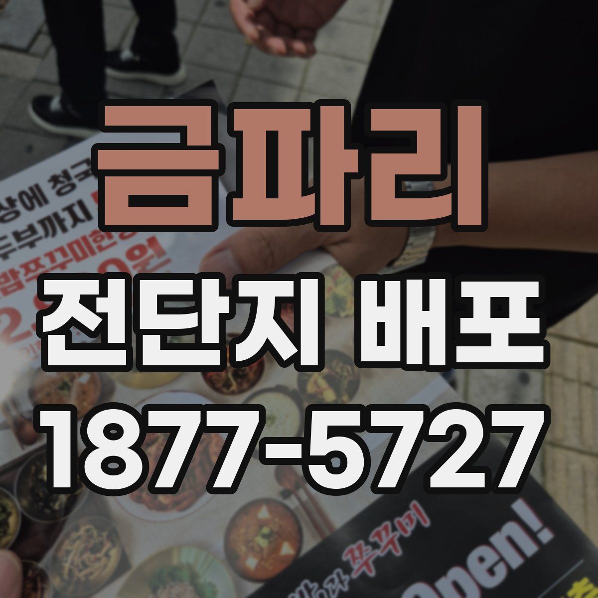 금파리 전단지 배포