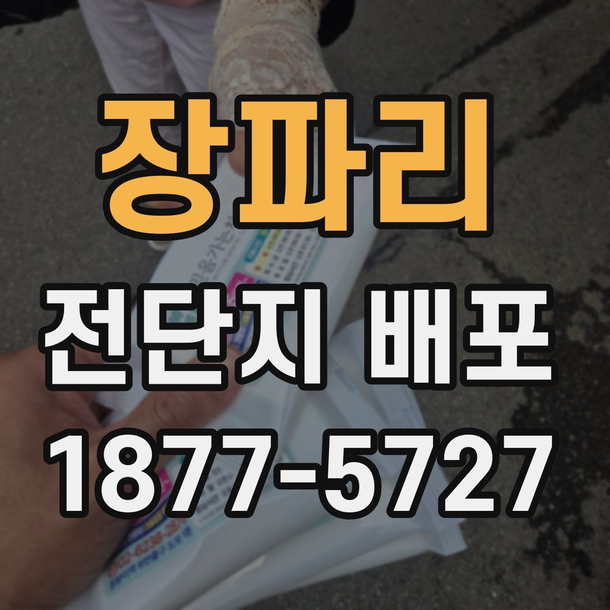 장파리 전단지 배포