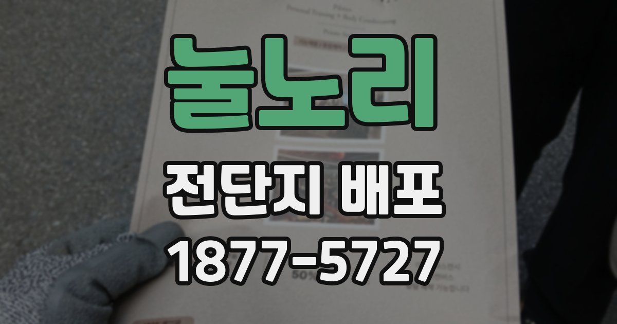 눌노리 전단지 배포