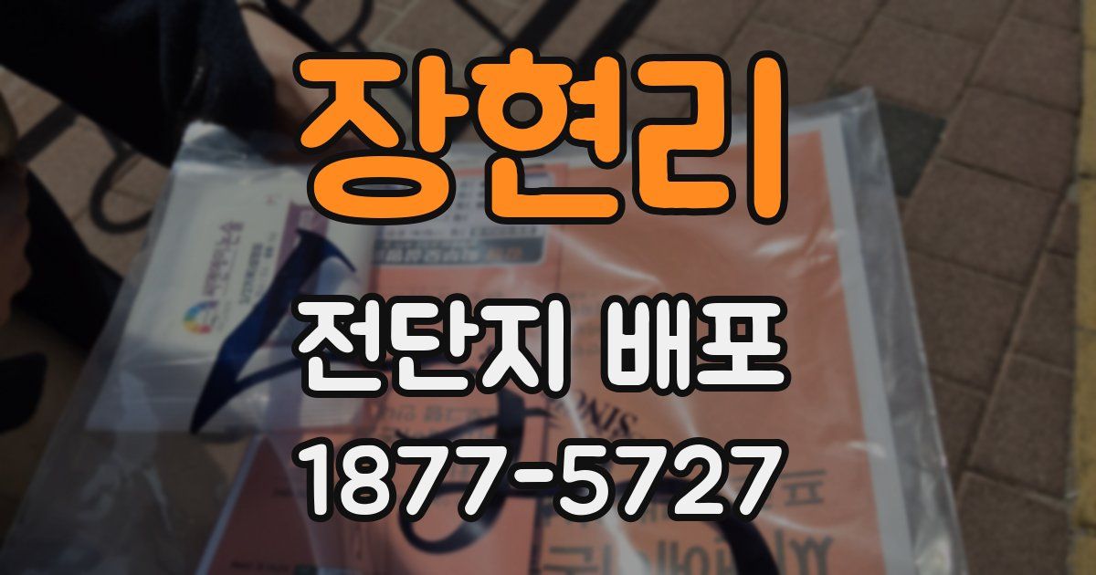 장현리 전단지 배포