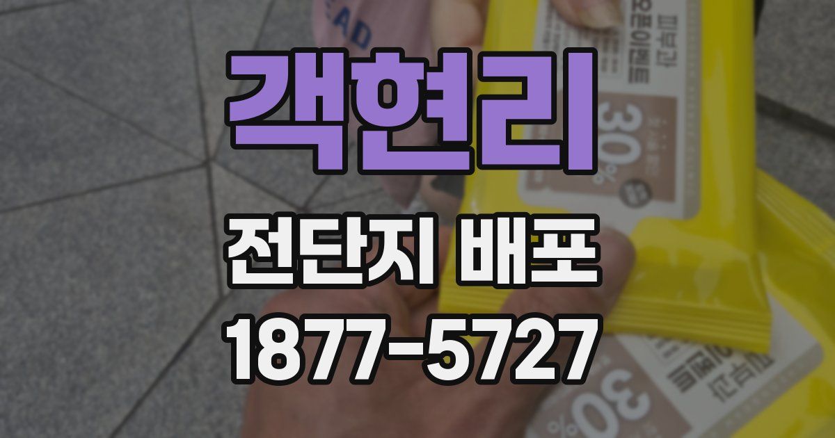 객현리 전단지 배포