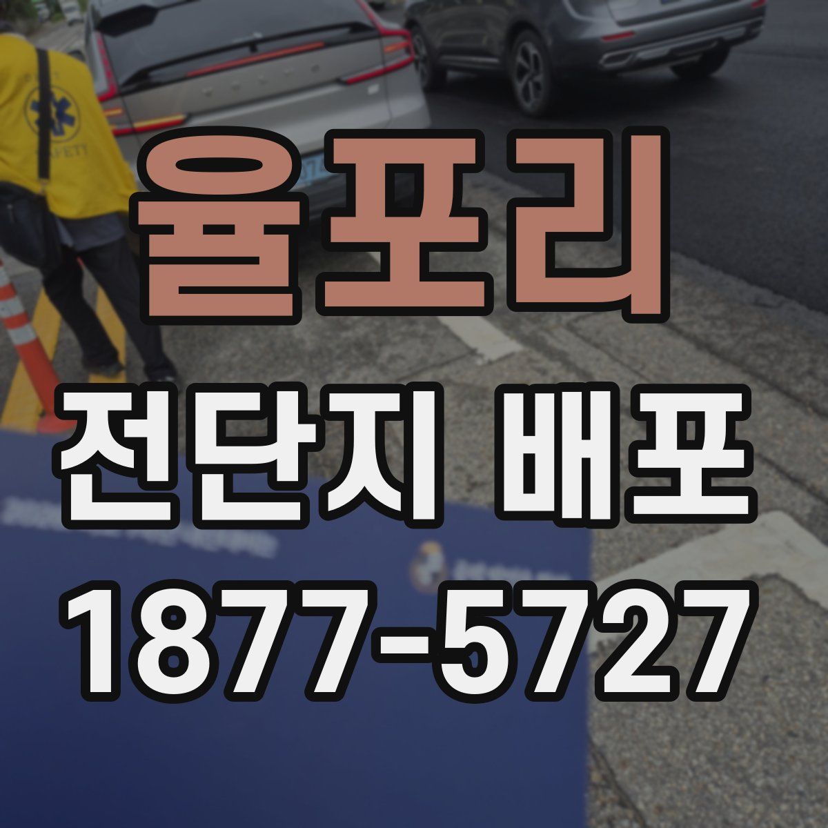 율포리 전단지 배포