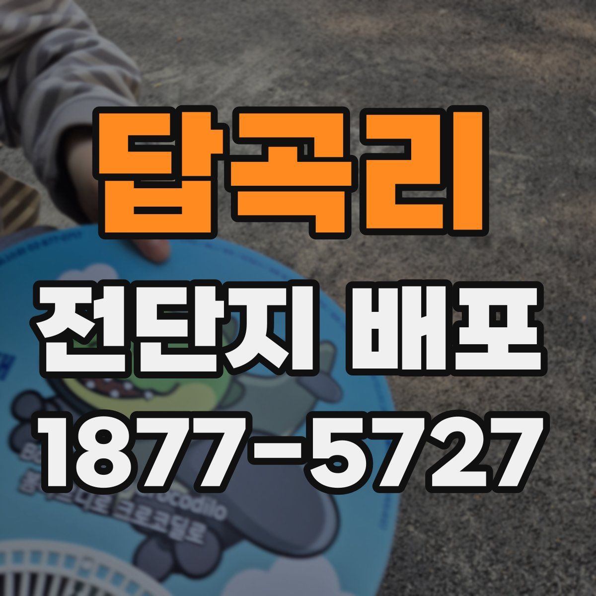 답곡리 전단지 배포