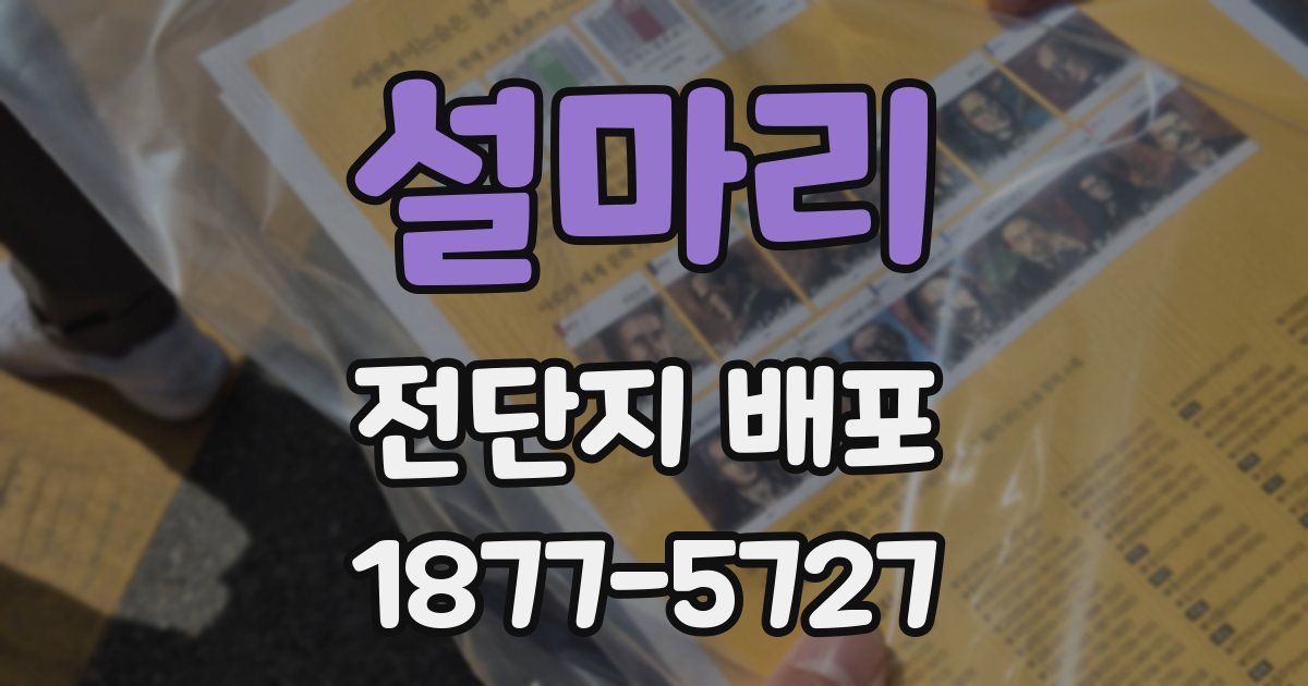 설마리 전단지 배포