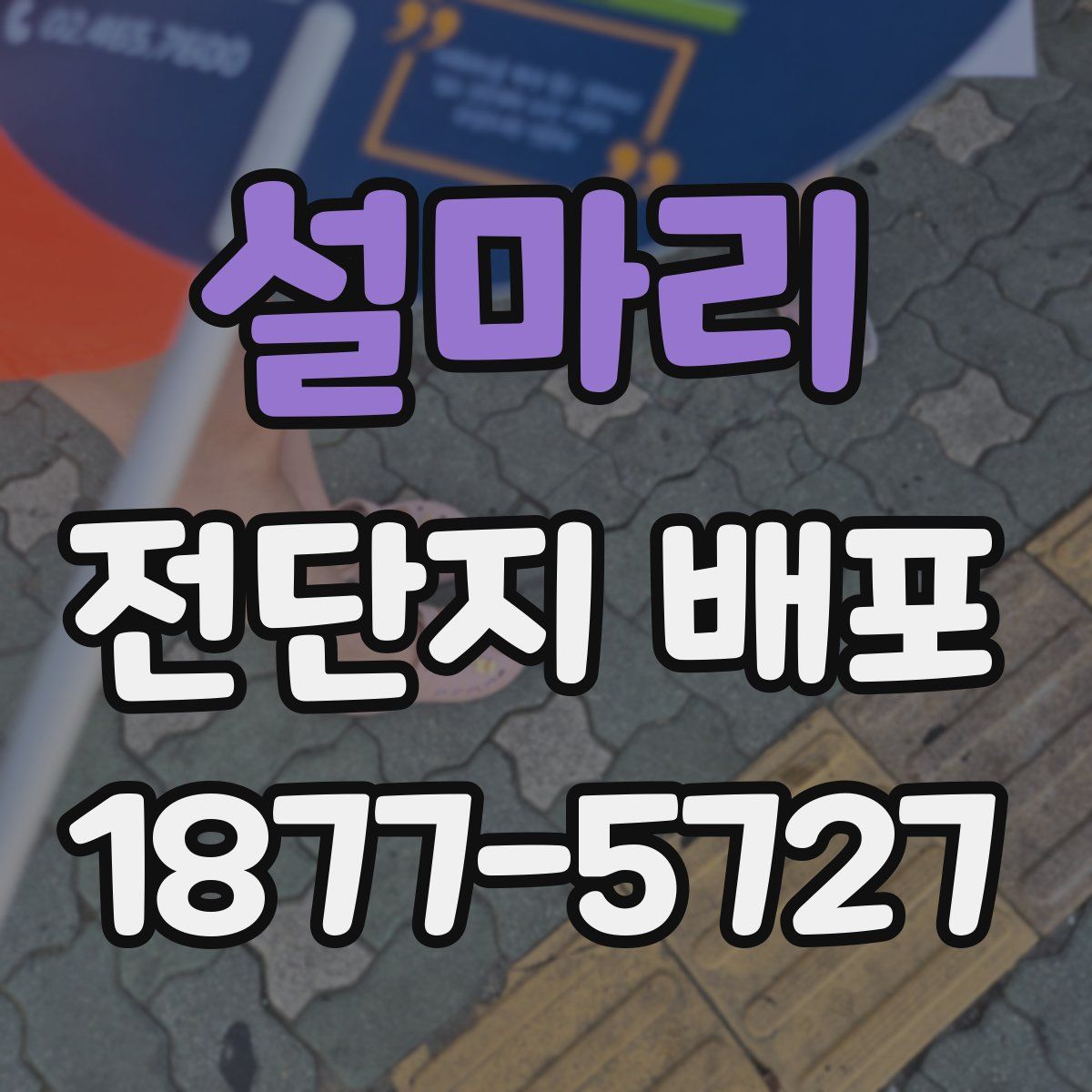 설마리 전단지 배포