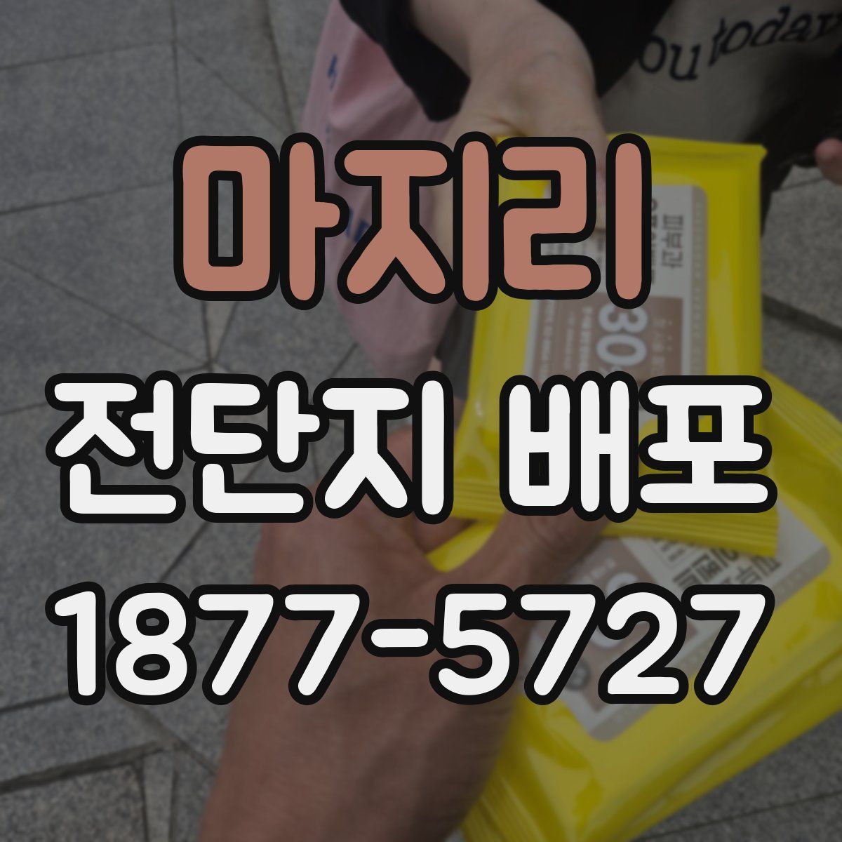 마지리 전단지 배포