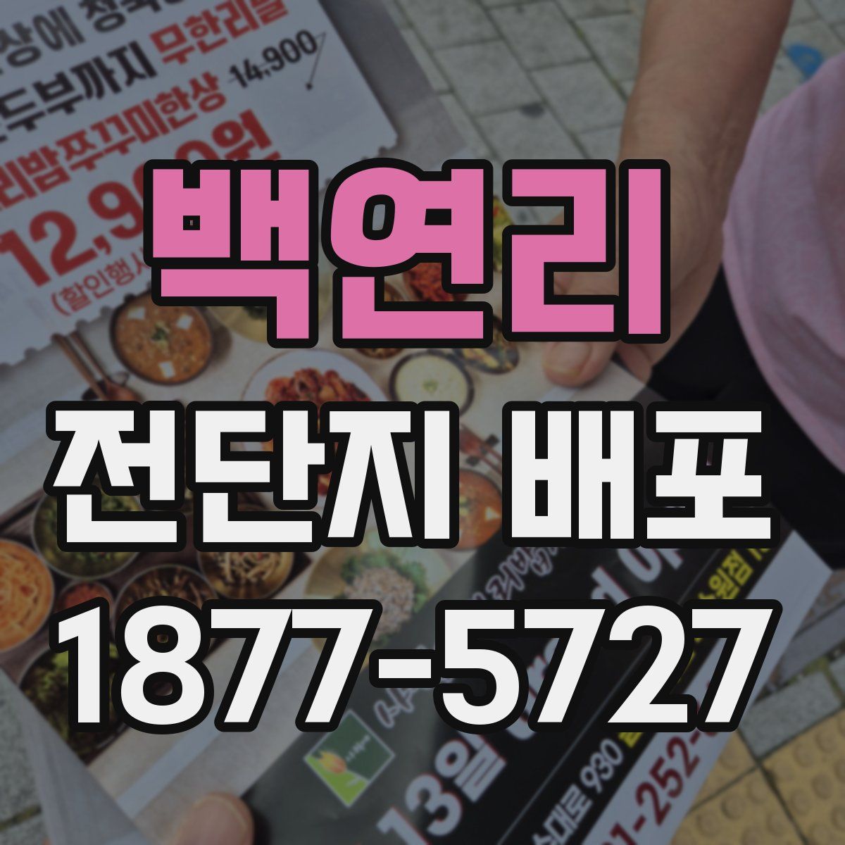백연리 전단지 배포