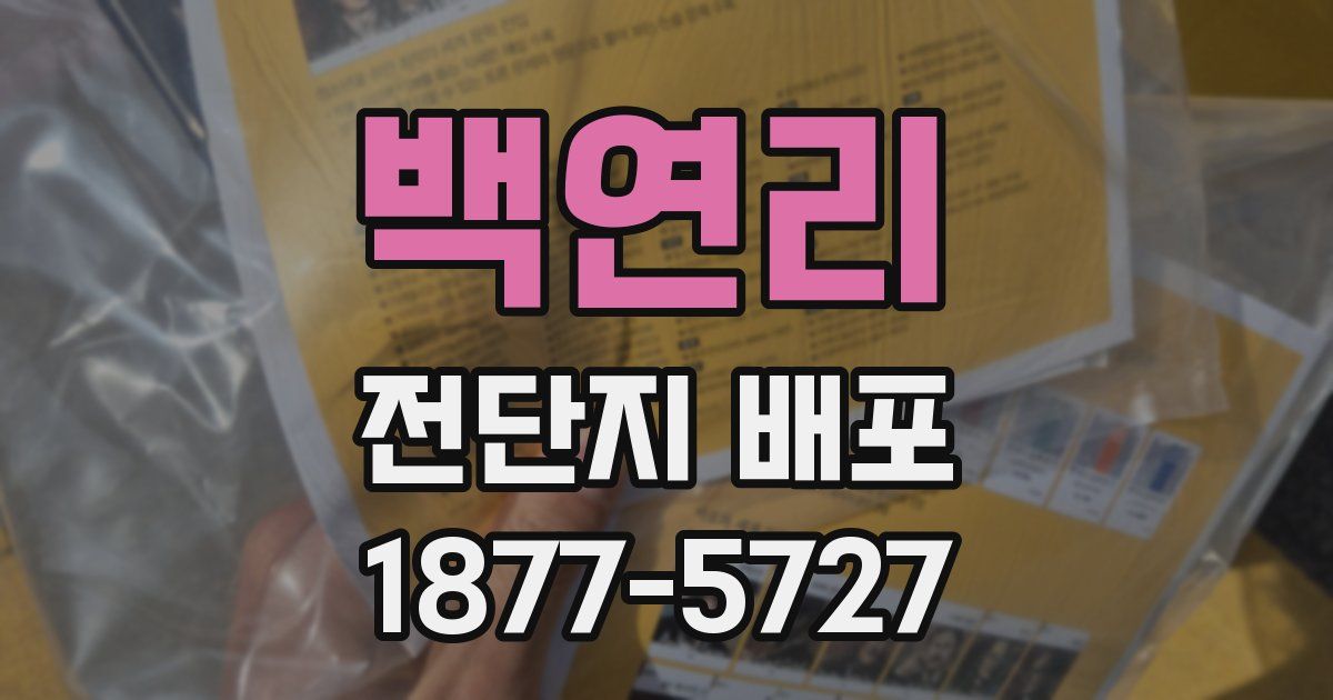백연리 전단지 배포