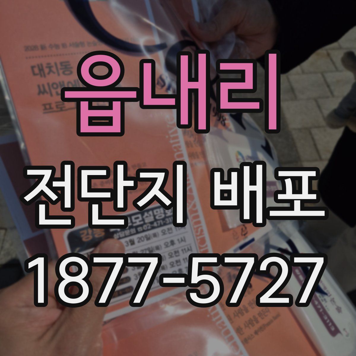 읍내리 전단지 배포