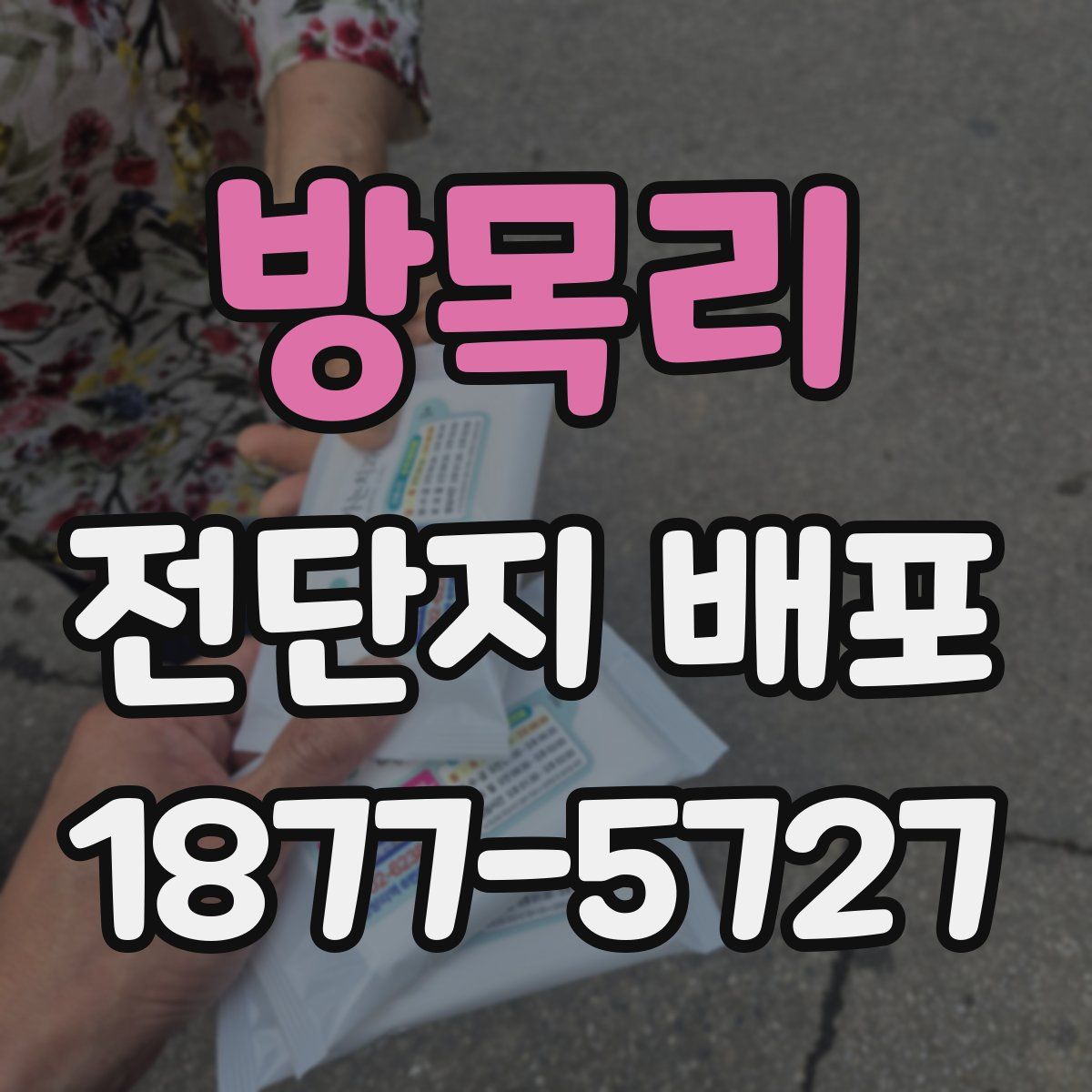 방목리 전단지 배포