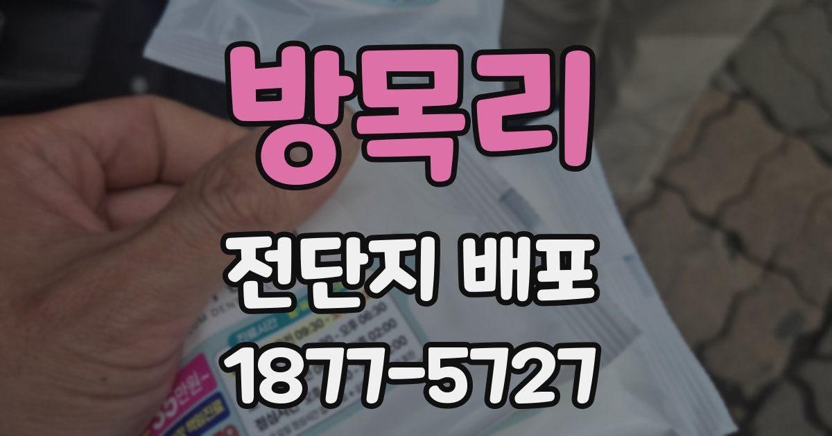 방목리 전단지 배포