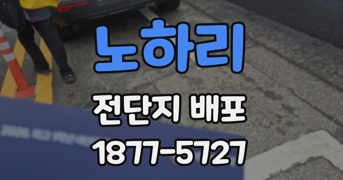 노하리 전단지 배포